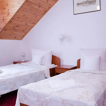 酒店 尼兹奇酒店 3*